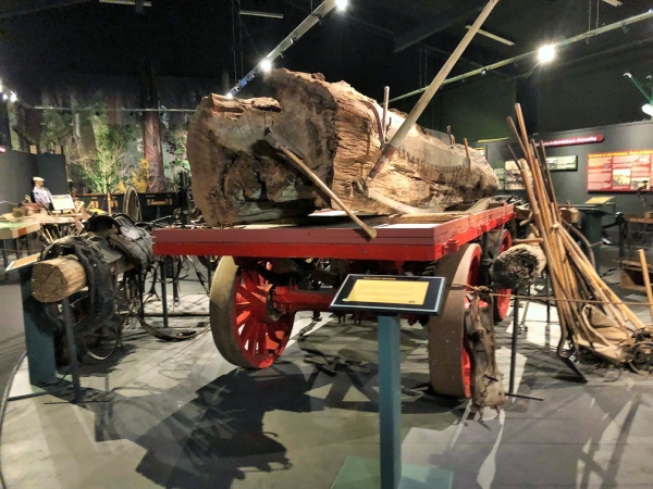 Bullock Wagon 1