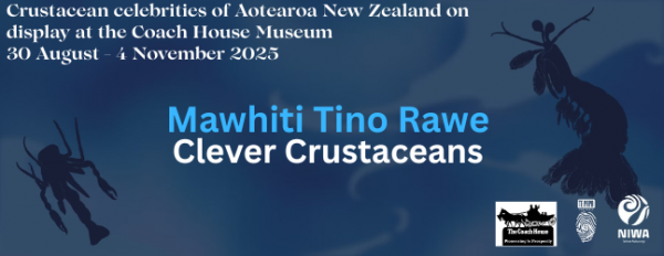 Clever Crustaceans