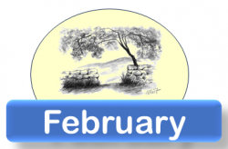 The Chronicle, Feb 2026