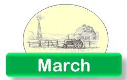 The Chronicle, March 2026