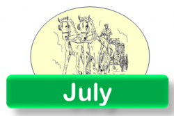 The Chronicle, July 2026